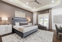 Small gray lazy image