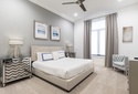 Small gray lazy image