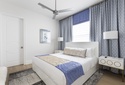 Small gray lazy image