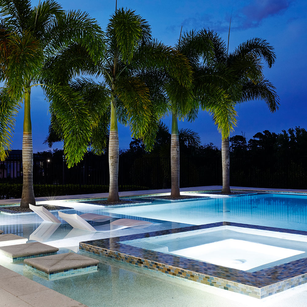 Small gray lazy image