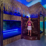 Small gray lazy image