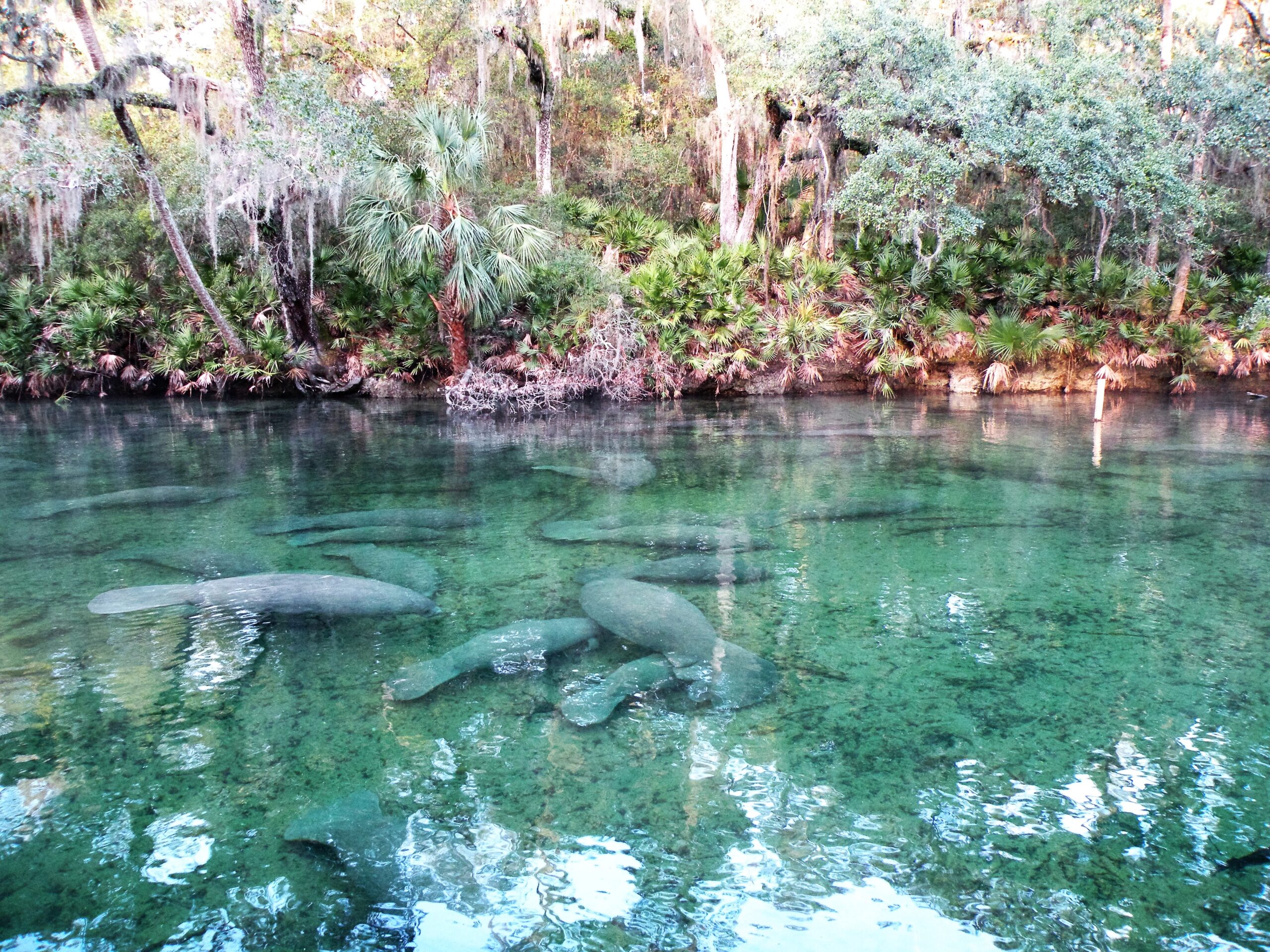 Day Trips From Orlando