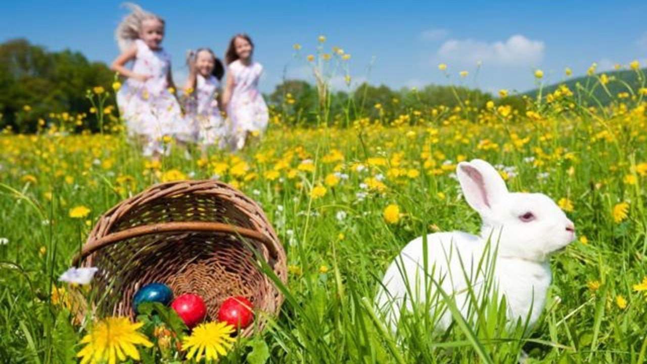 easter egg hunt in orlando fl