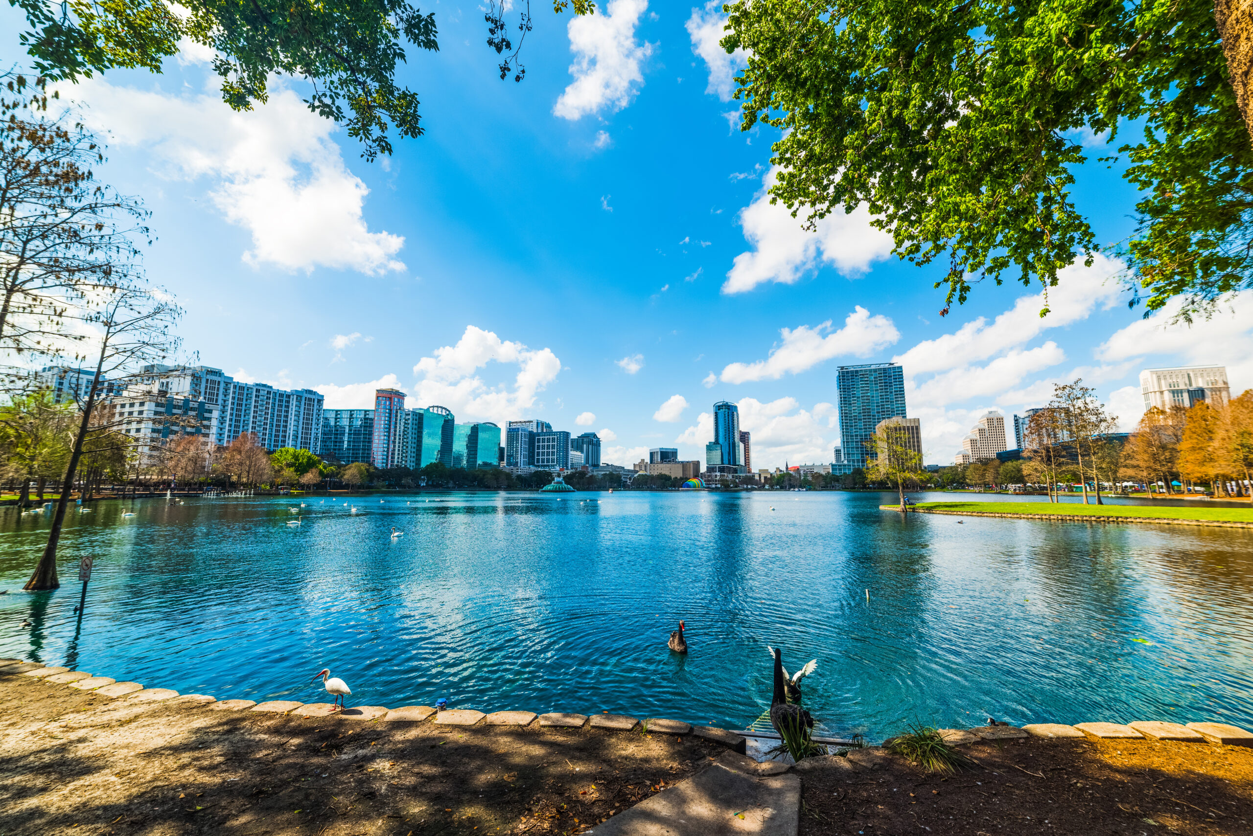 cheap things to do in orlando