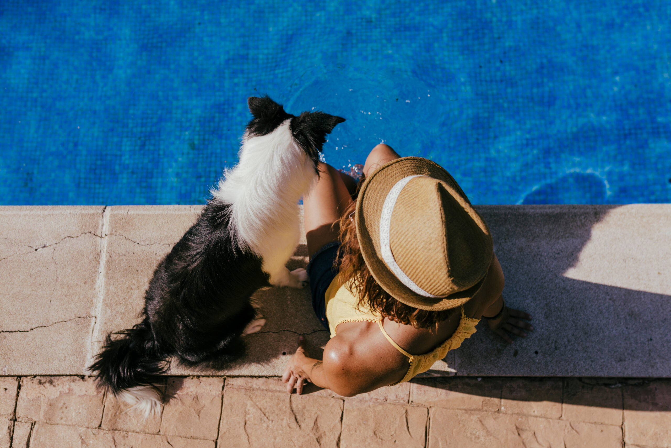 orlando pet friendly vacation rentals