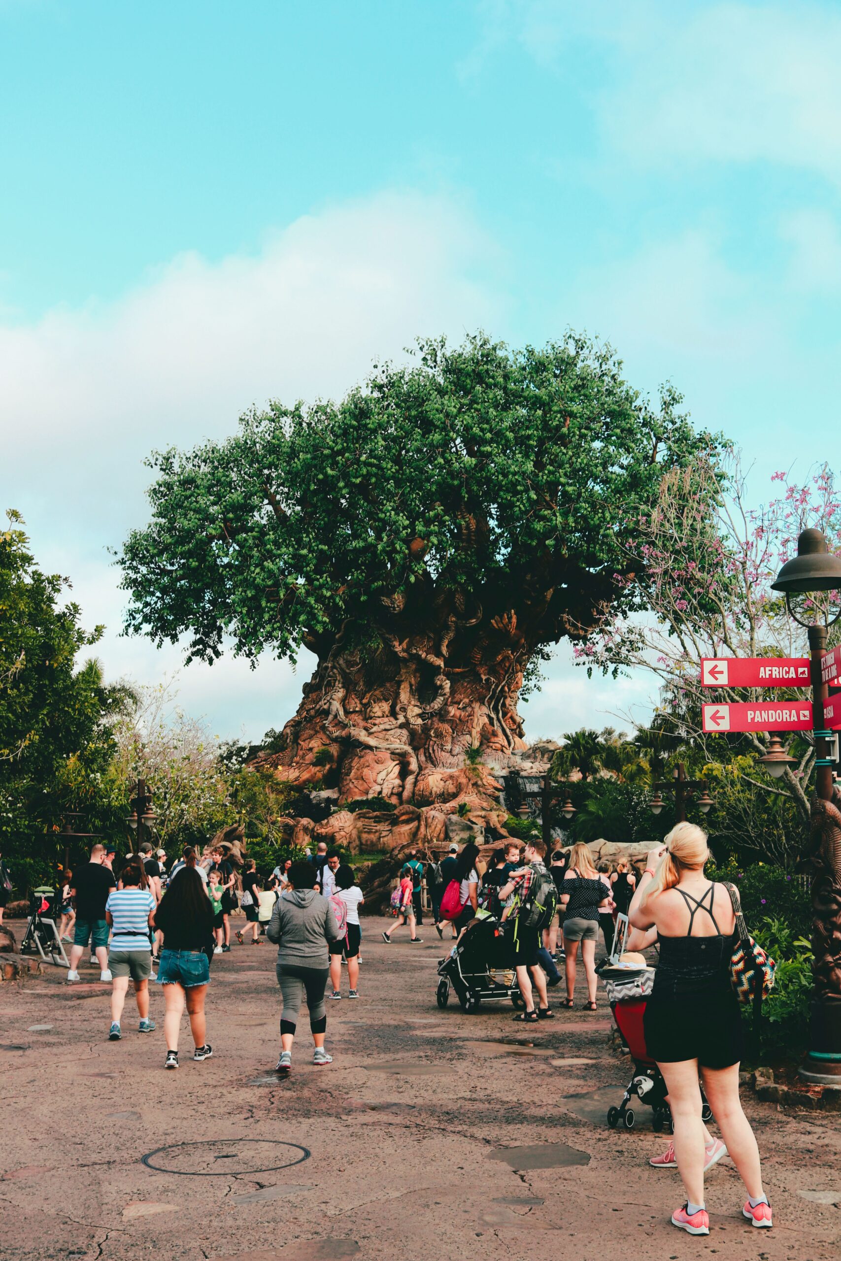 Free Disney Dining Plans 2020