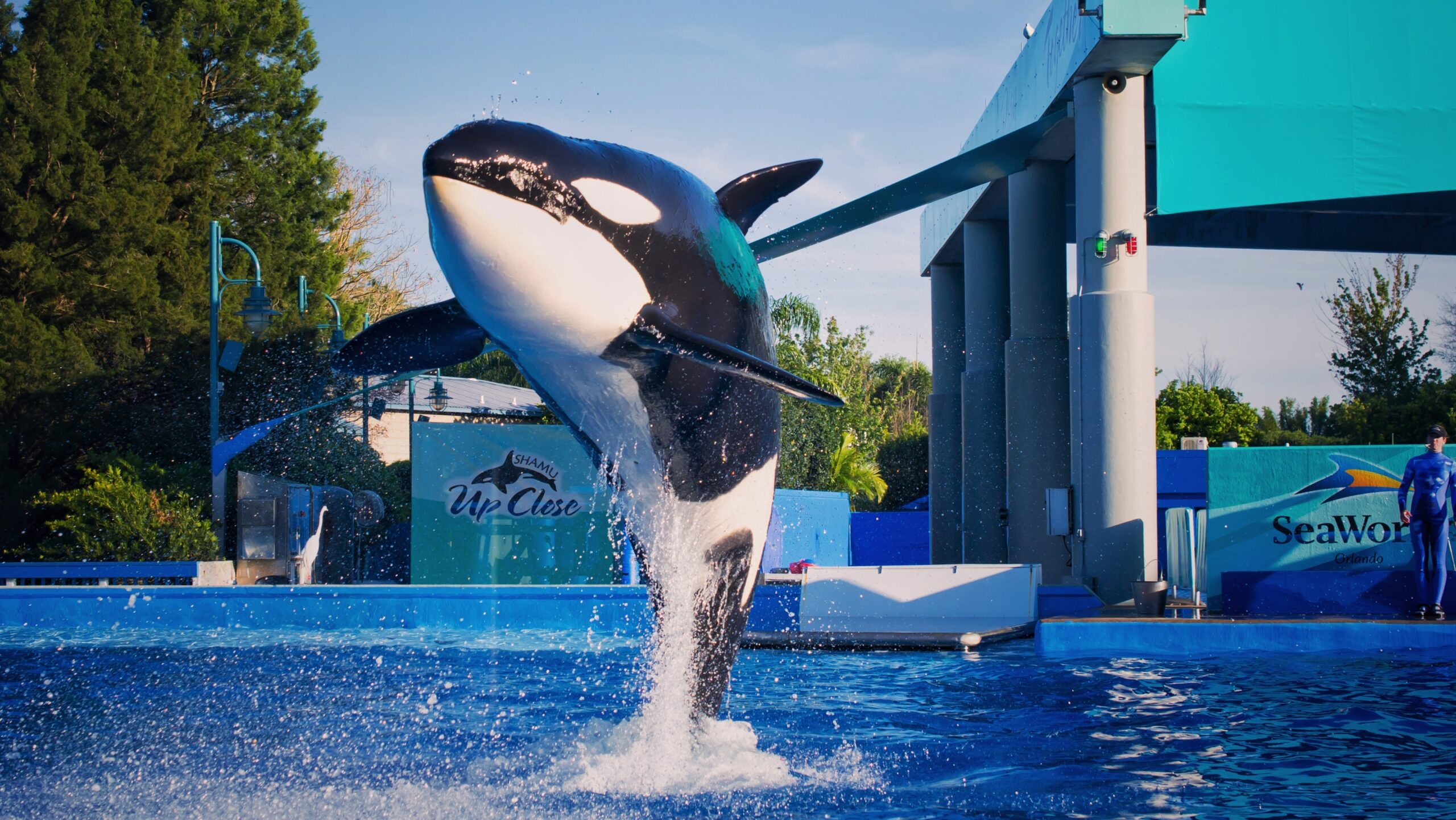 vacation rentals universal studios orlando