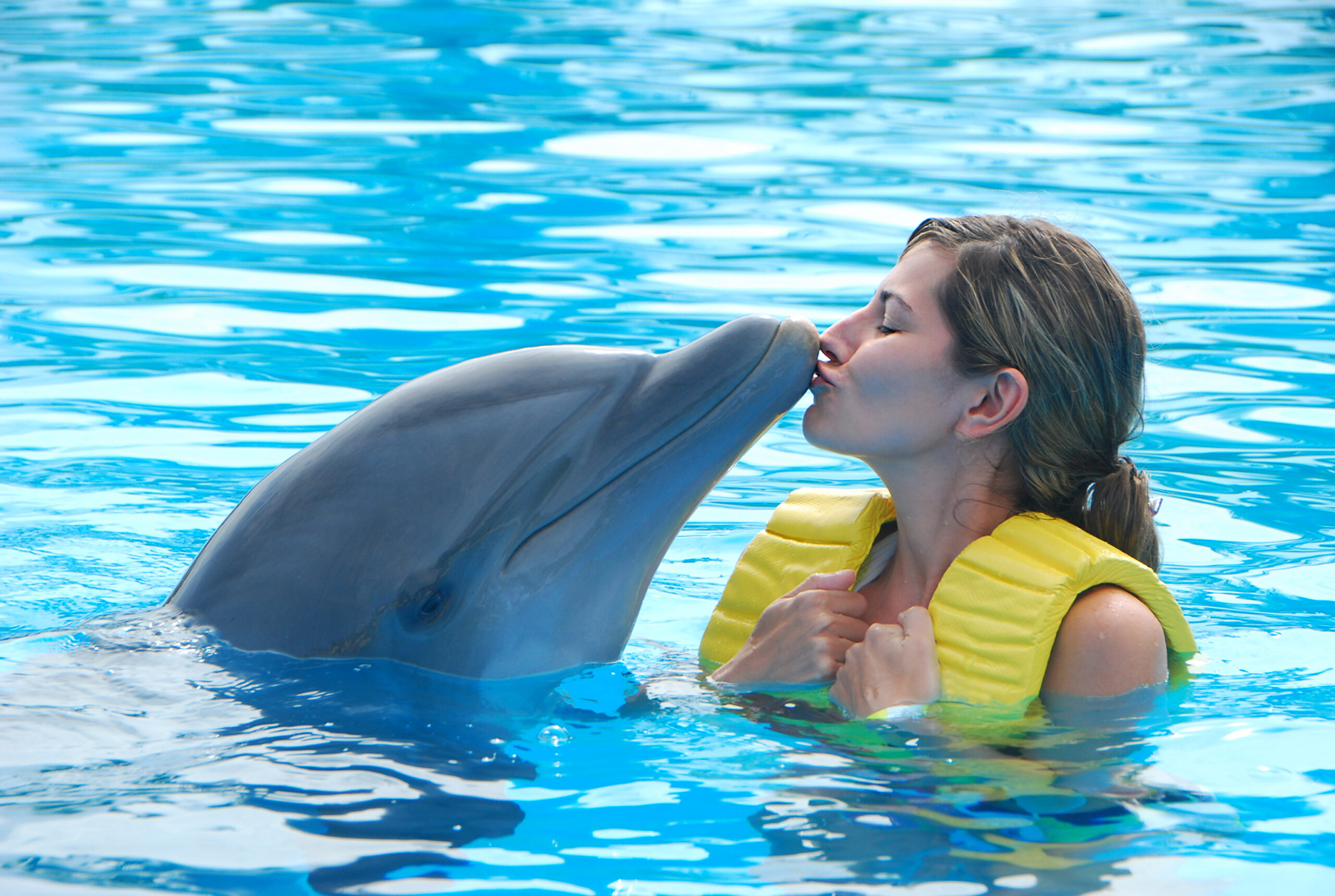 things to do in orlando, fl