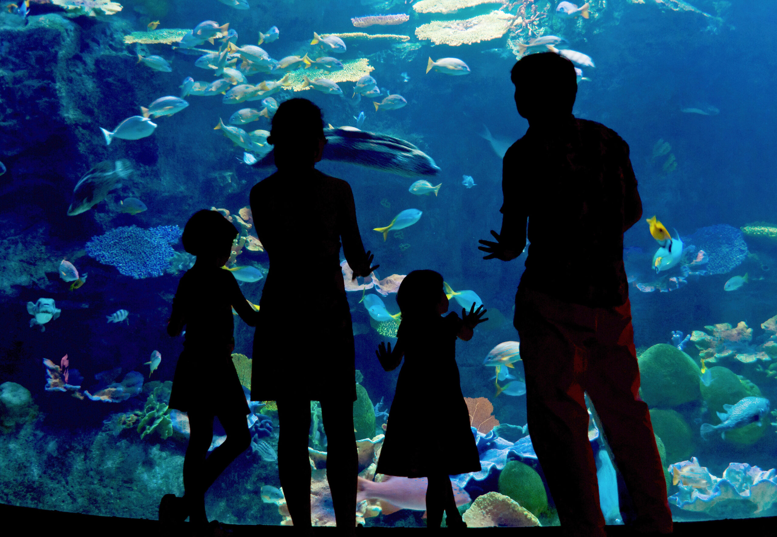 things to do in orlando, fl