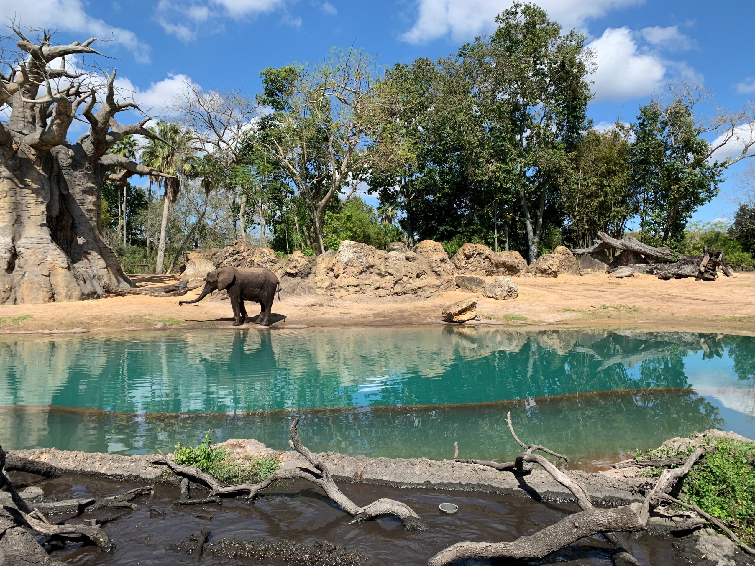 things for seniors to do in Orlando