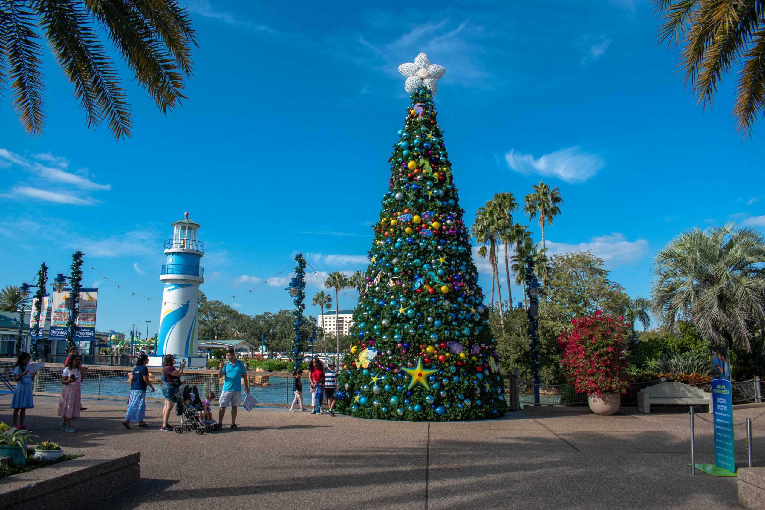 celebrating festival in orlando