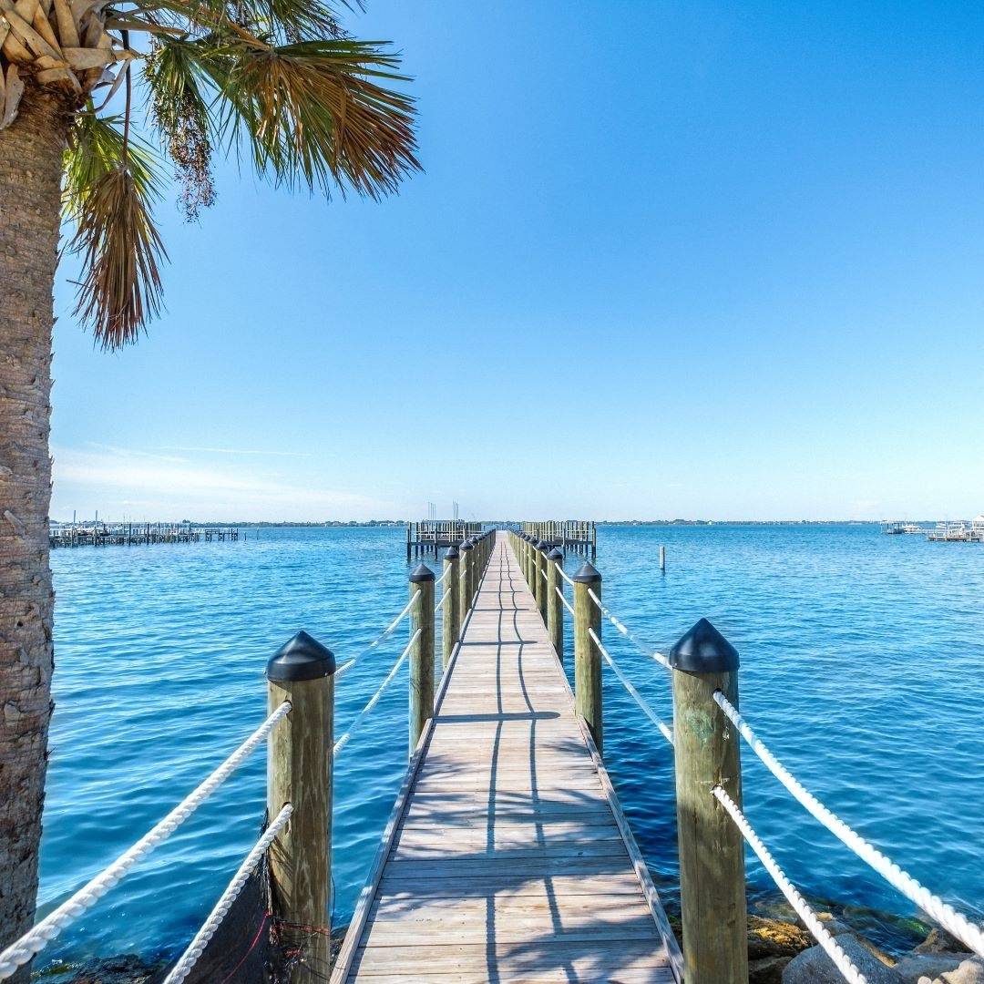 dock with surrounding water and palm tree