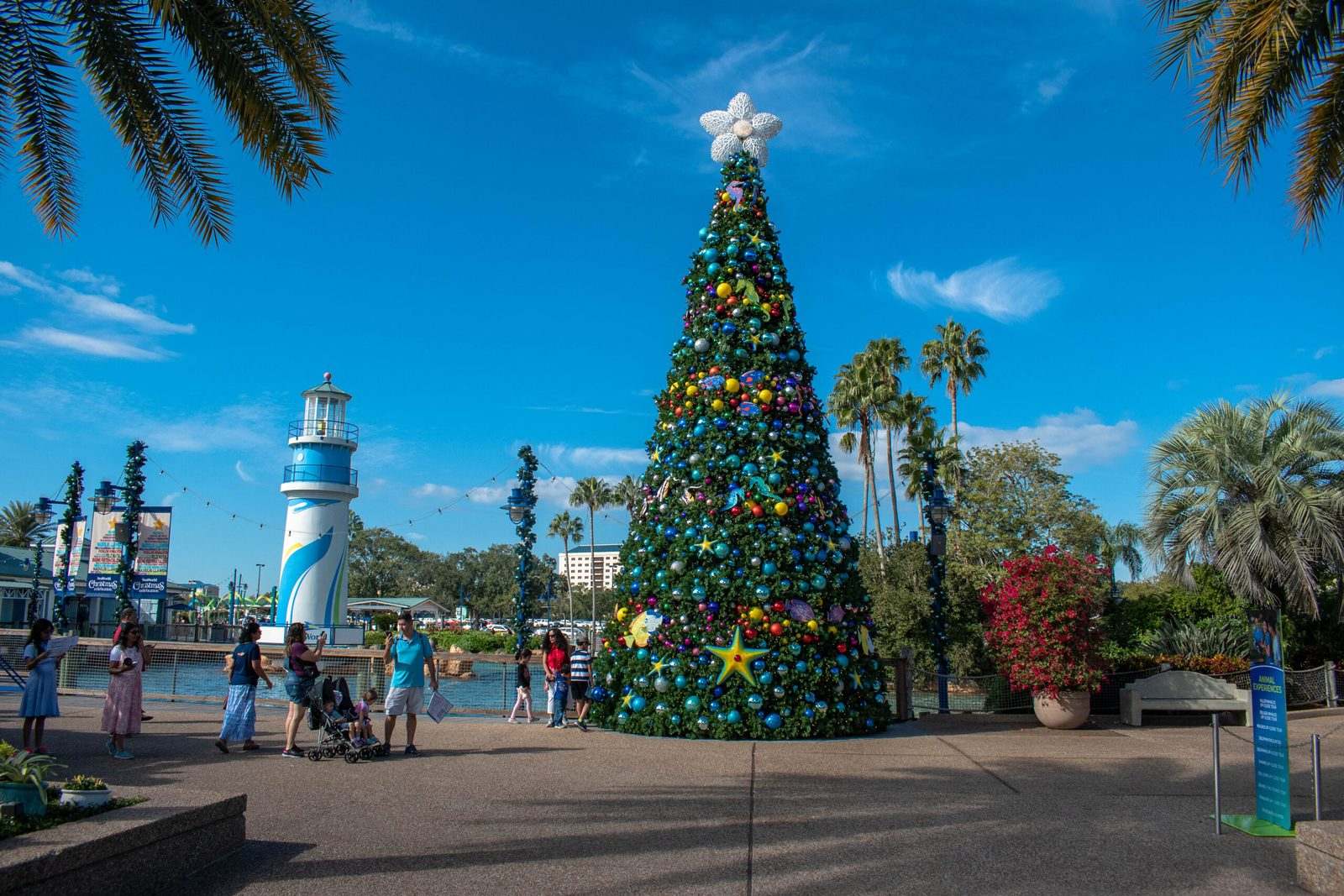 christmas tree decorated outdoors at disney