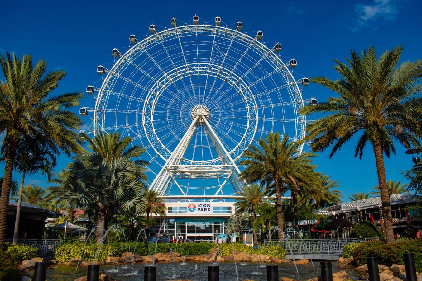 ferris wheel at icon park