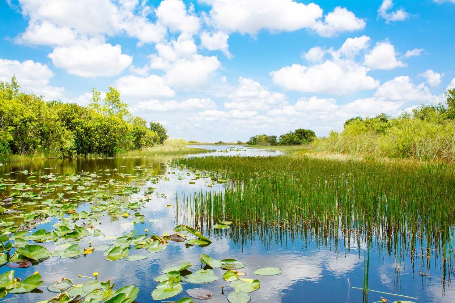 view of a lake
