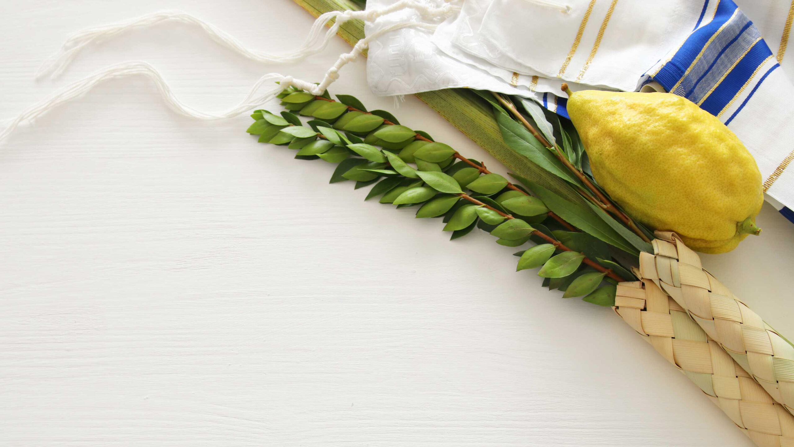 Placeholder Lazy Image